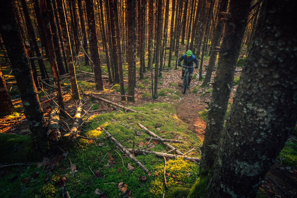 person riding mountain bike on forest