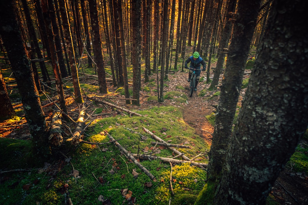 travelers stories about Forest in Halifax, Canada