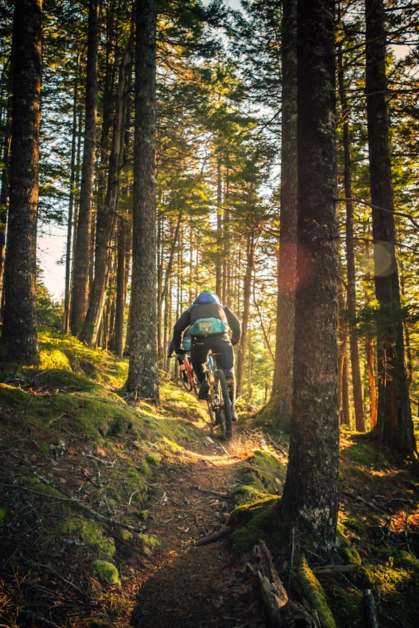 Mountain bike trail ride