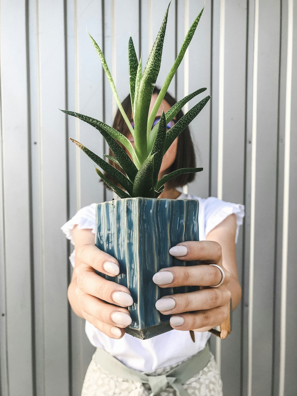 woman holding pot of snake plant