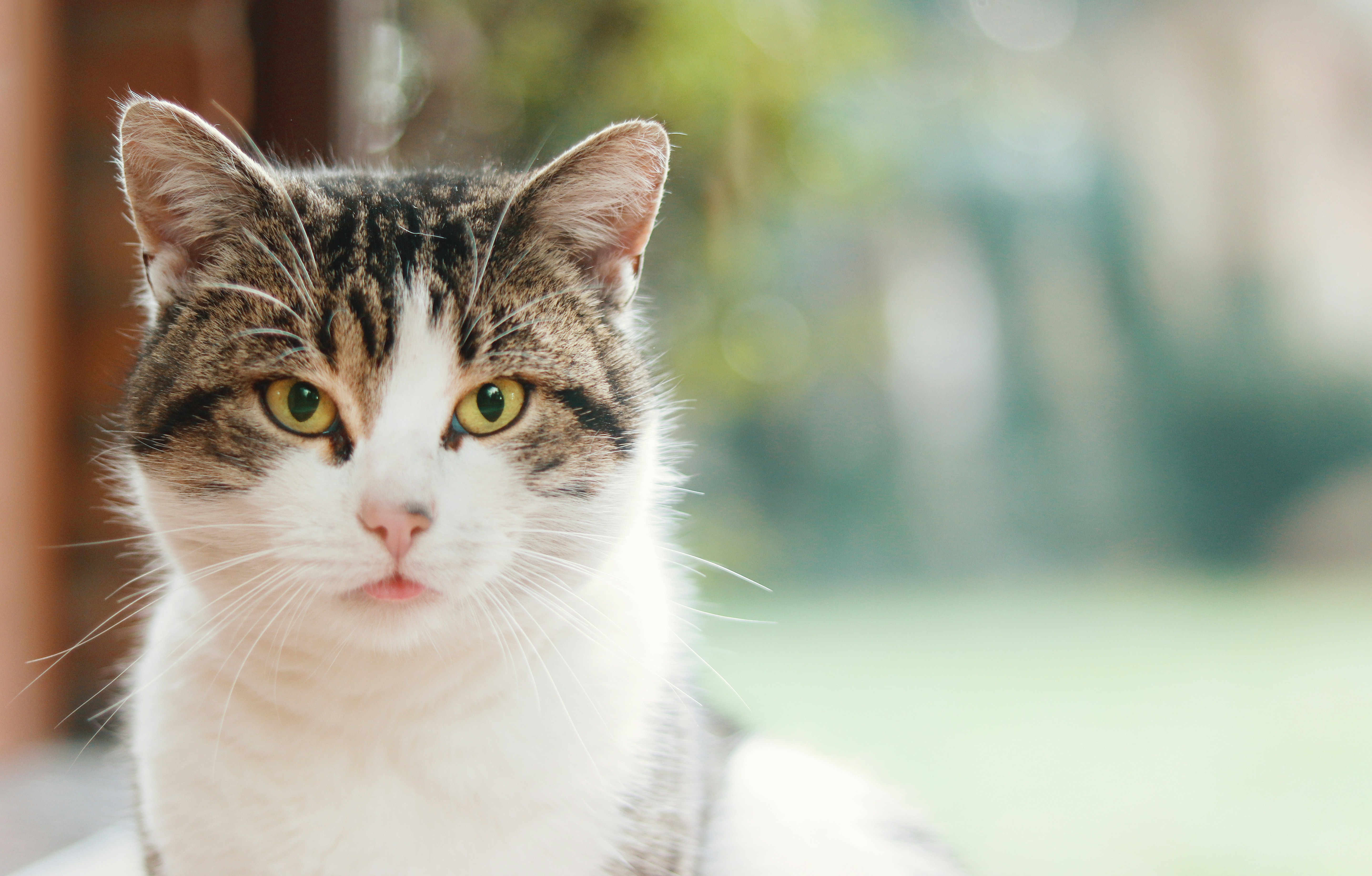 Photo by shottrotter