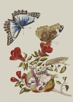 brown moth perch on red flower painting