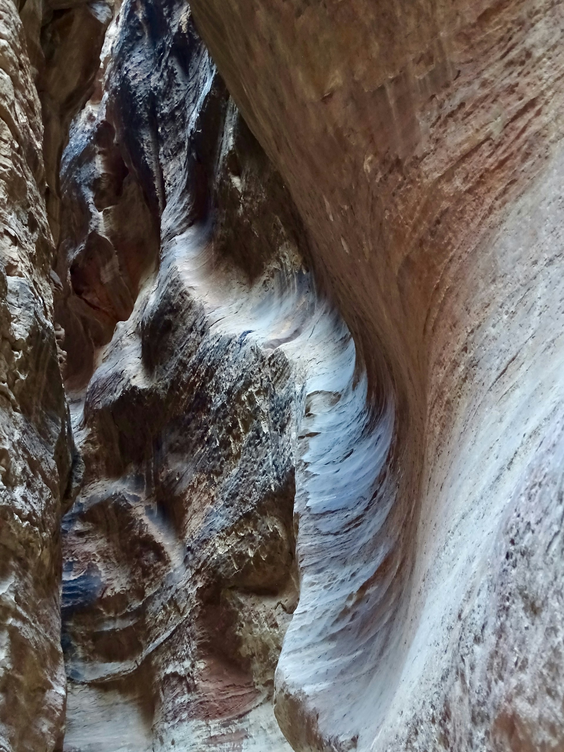 brown canyon