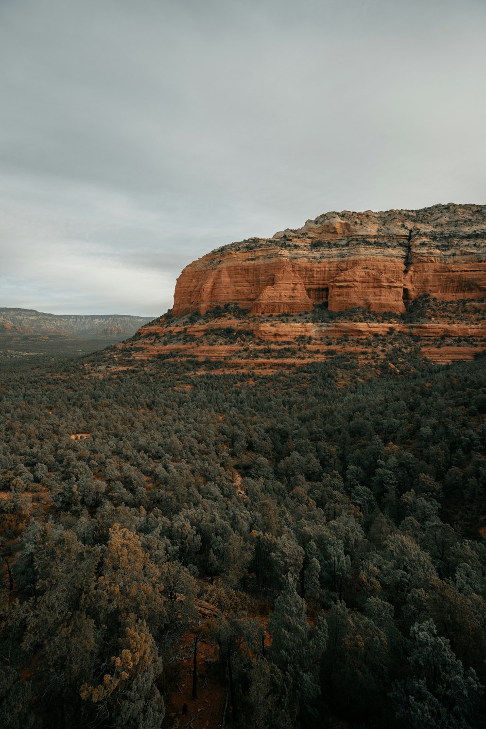 green trees and brown mountain scenery