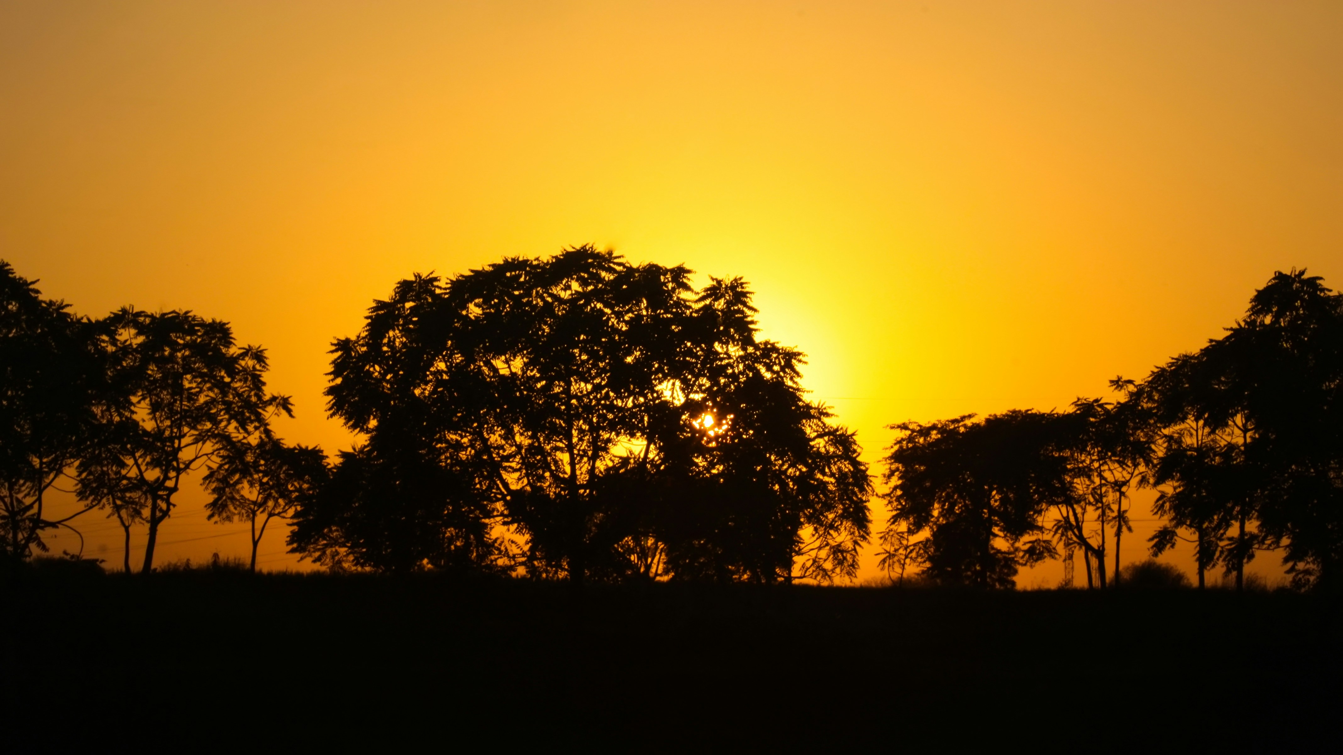 Photo by himanshudewangan