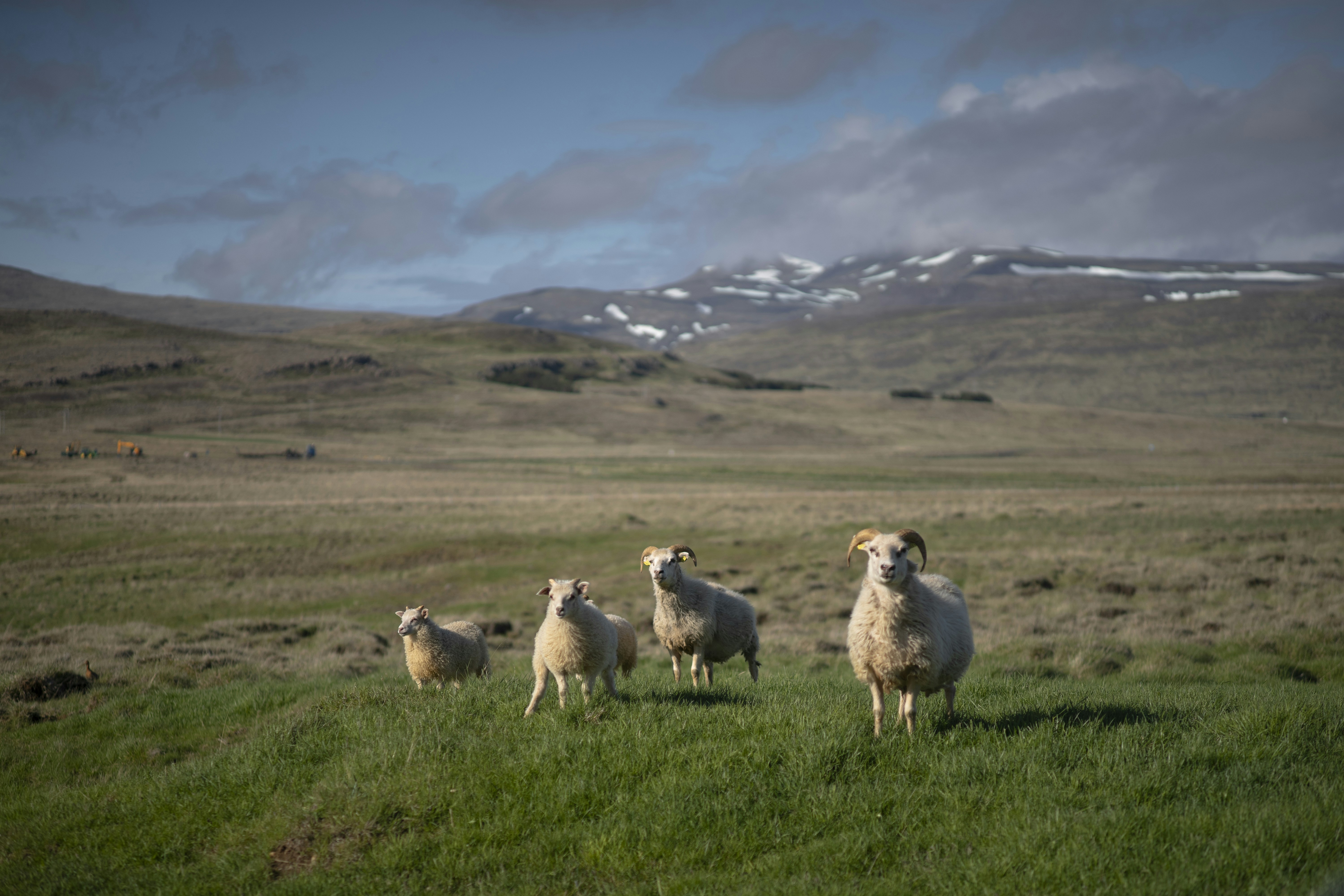 Photo by mathieustern