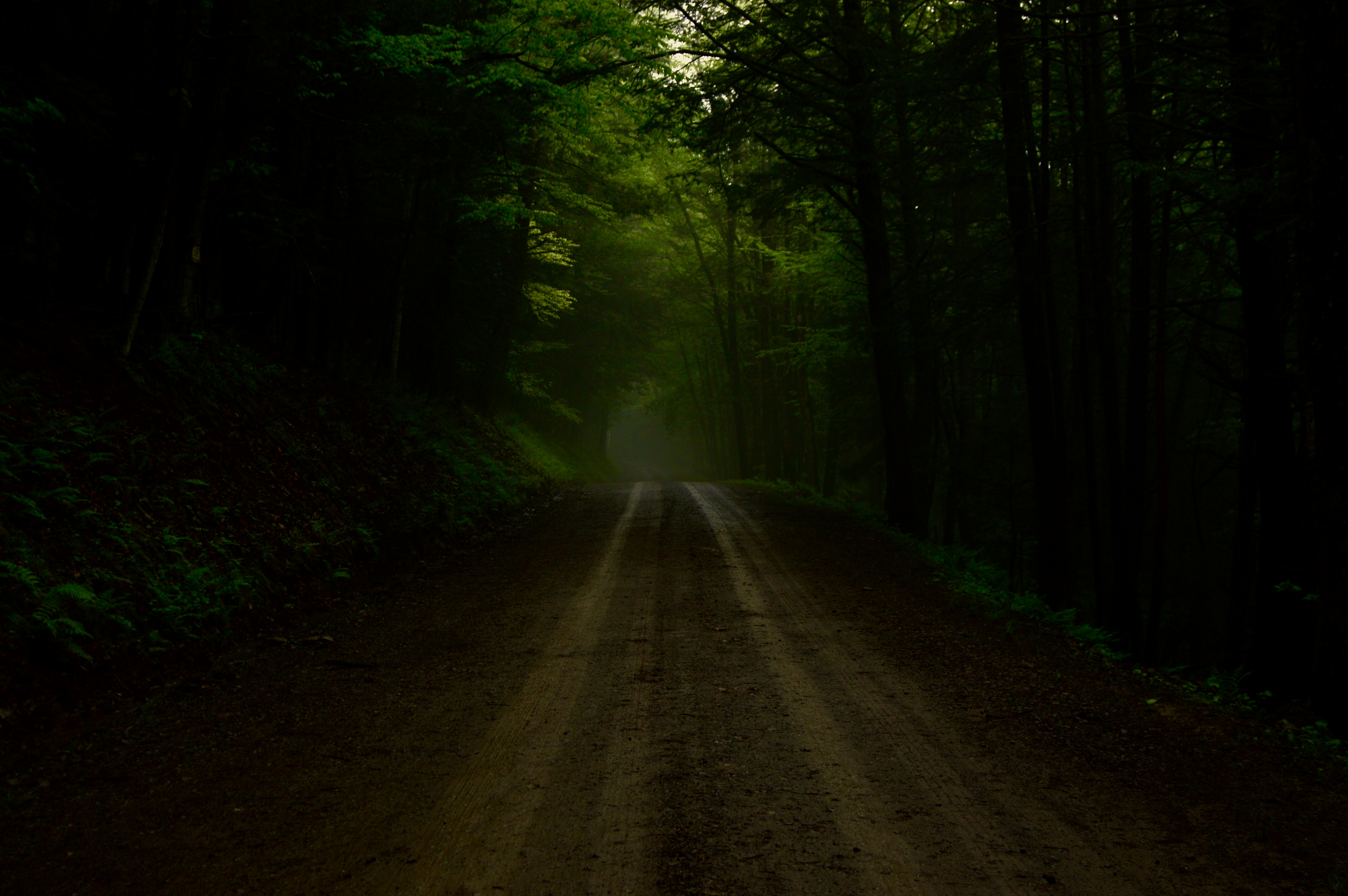 Photo by hannahhirleman