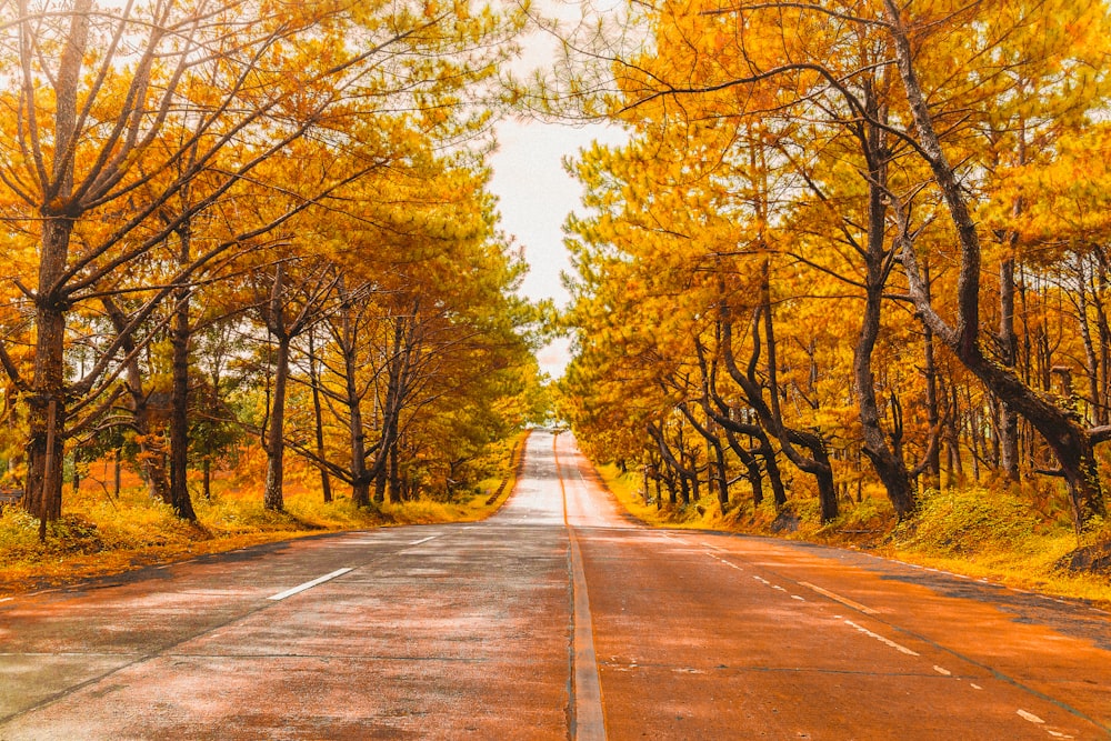 asphalt road scenery