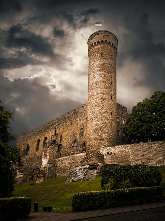 brown castle in Tall Hermann Estonia