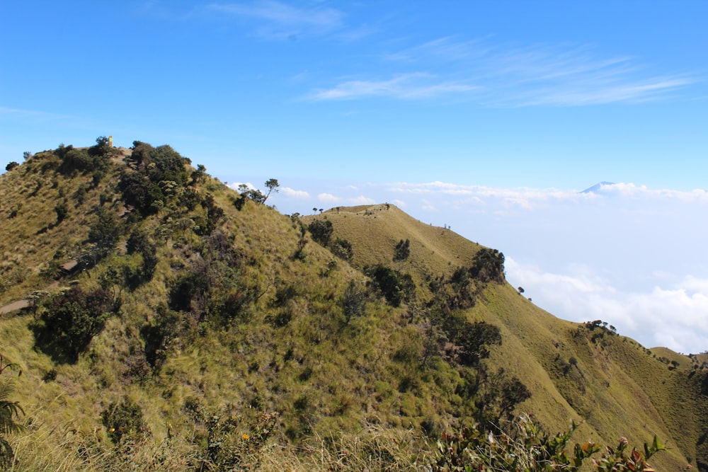 montanha verde