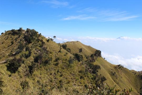green mountain in Mount Merbabu Indonesia