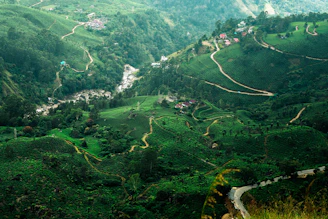 green mountain slope scnery