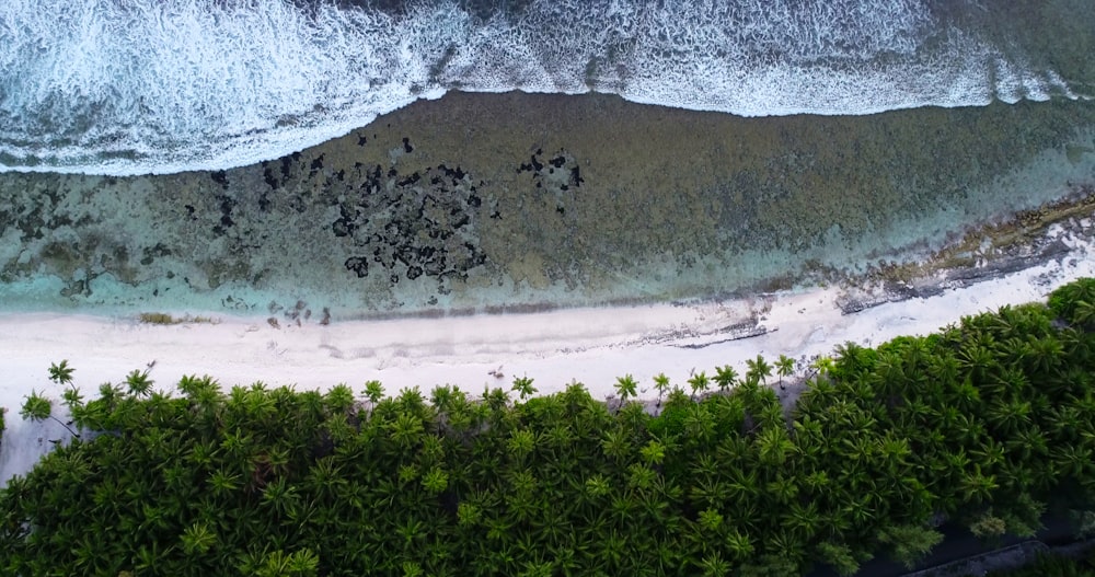 an aerial view of a beach and ocean