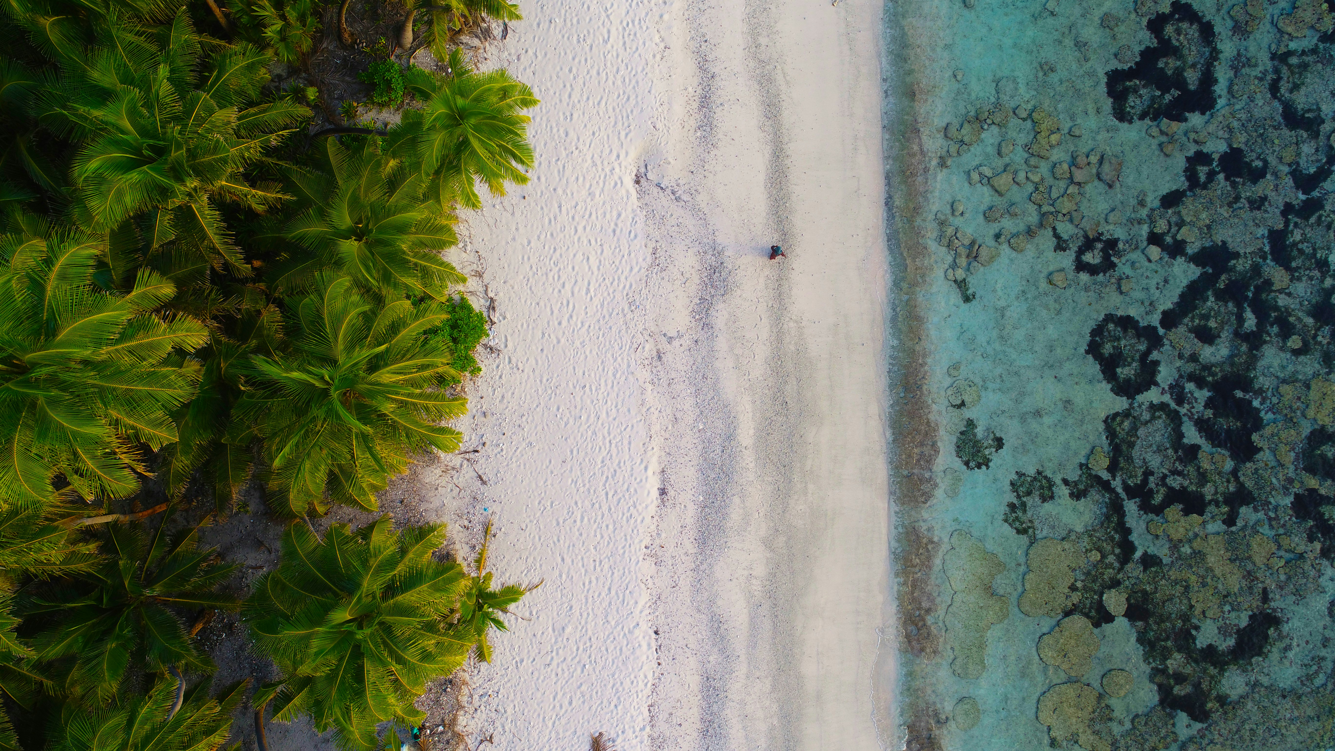 Photo by ___jiyad___