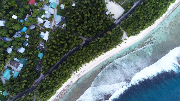 Aerial view of a coastal area with a densely populated tropical forest. Houses with colorful roofs are nestled among lush greenery. A sandy beach separates the forest from the ocean, where waves crash onto the shore.