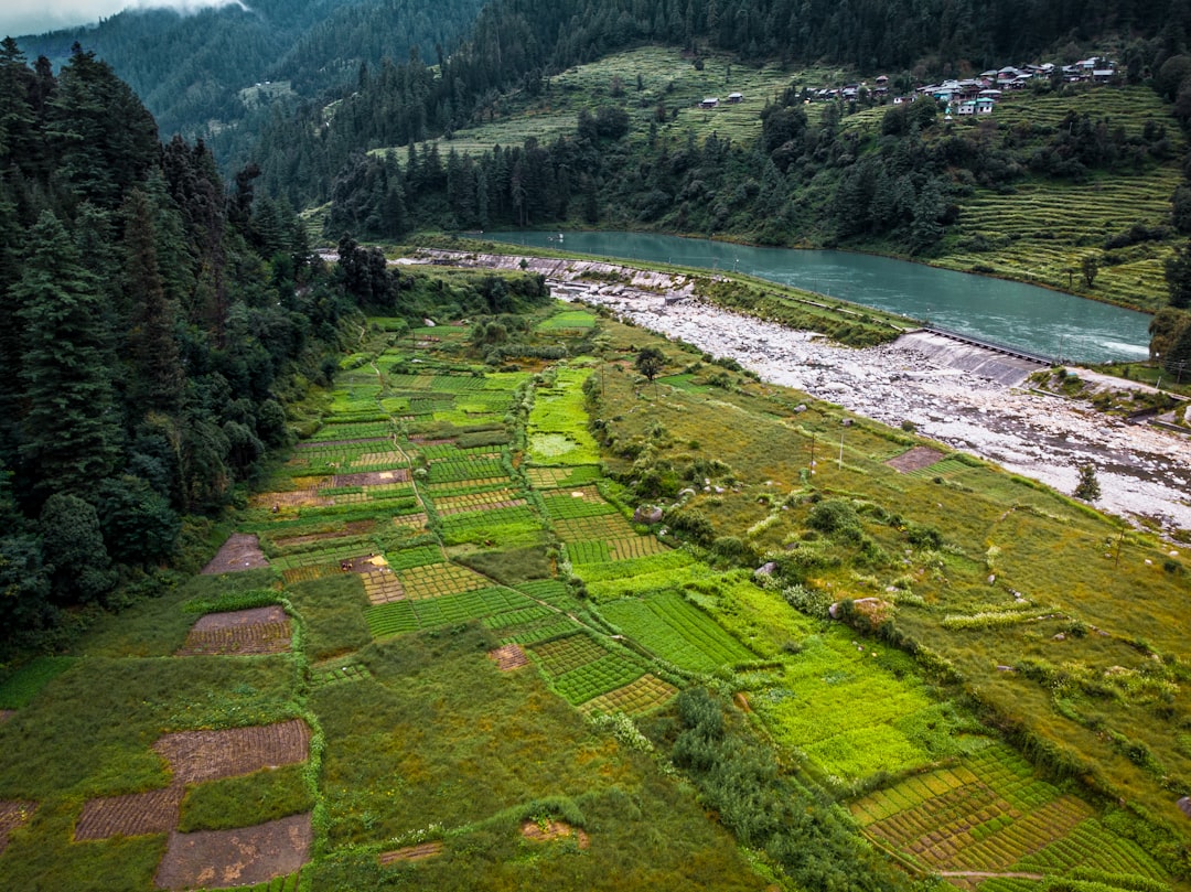 Hill station photo spot Barot Indian Institute of Technology