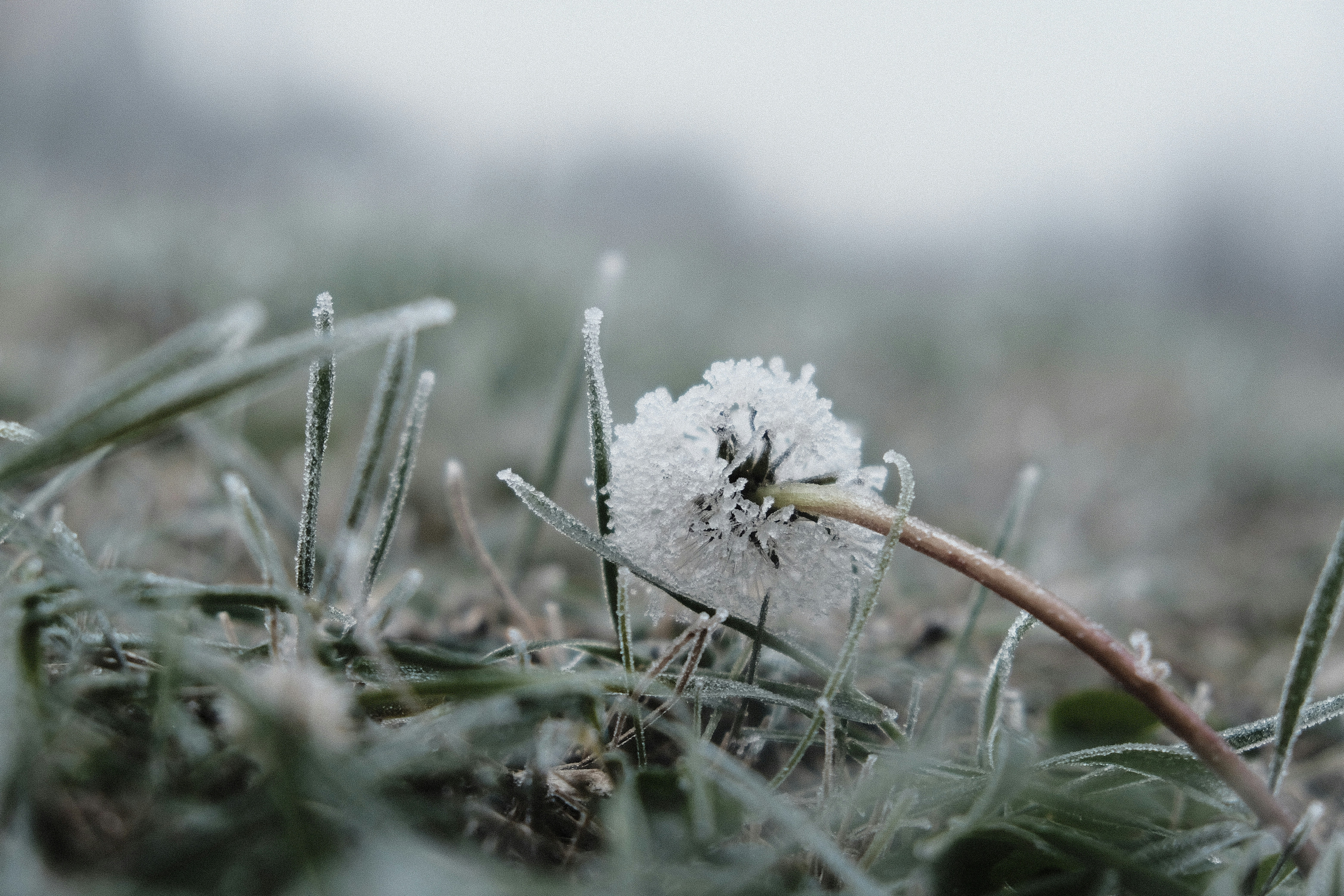 Photo by lorenaschmidt