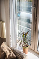 Cozy home decor item placed near a window with natural light.