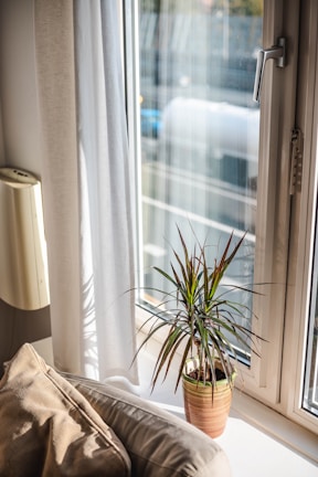 A sunlit living room corner with soft cushions and a small indoor plant.