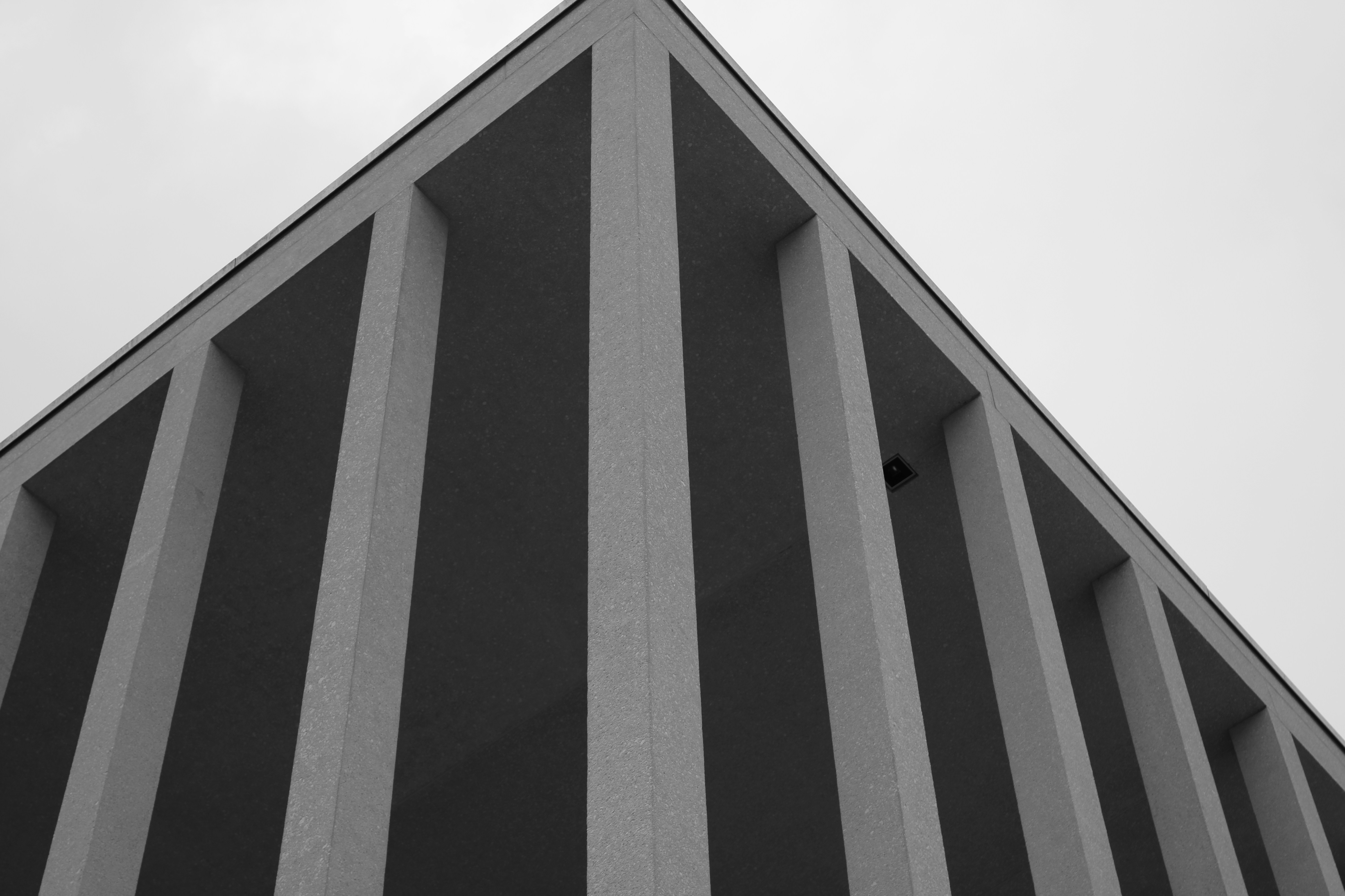 Photo by tylorcloude