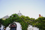 View from the Trullo window overlooking the Basilica dei Santi Medici and surrounding trulli.