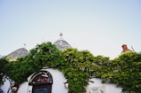 The image features traditional trulli houses with conical stone roofs situated behind a lush, green vine-covered wall. The bright sky provides a clear backdrop, highlighting the architectural details. Various signs and outdoor lights adorn the wall, indicating a restaurant setting.