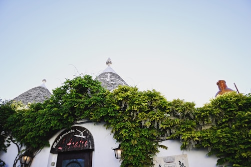 The image features traditional trulli houses with conical stone roofs situated behind a lush, green vine-covered wall. The bright sky provides a clear backdrop, highlighting the architectural details. Various signs and outdoor lights adorn the wall, indicating a restaurant setting.