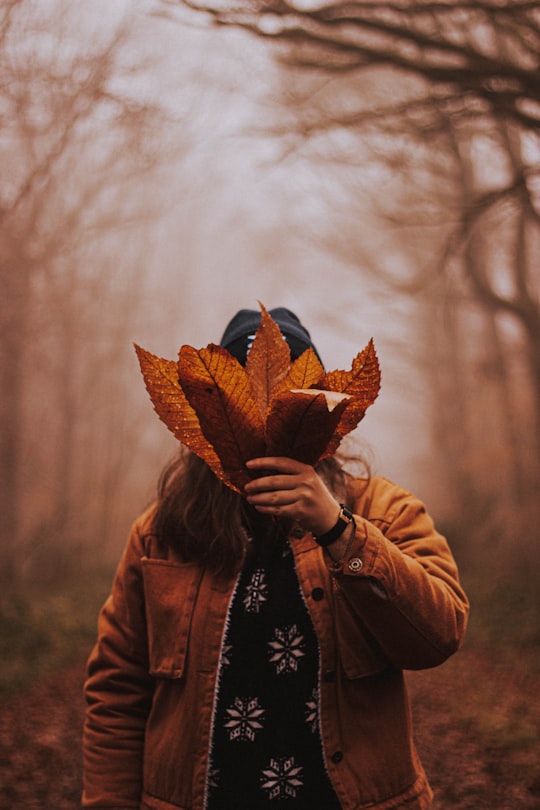 person holding dried leaves in Montigny-le-Bretonneux France