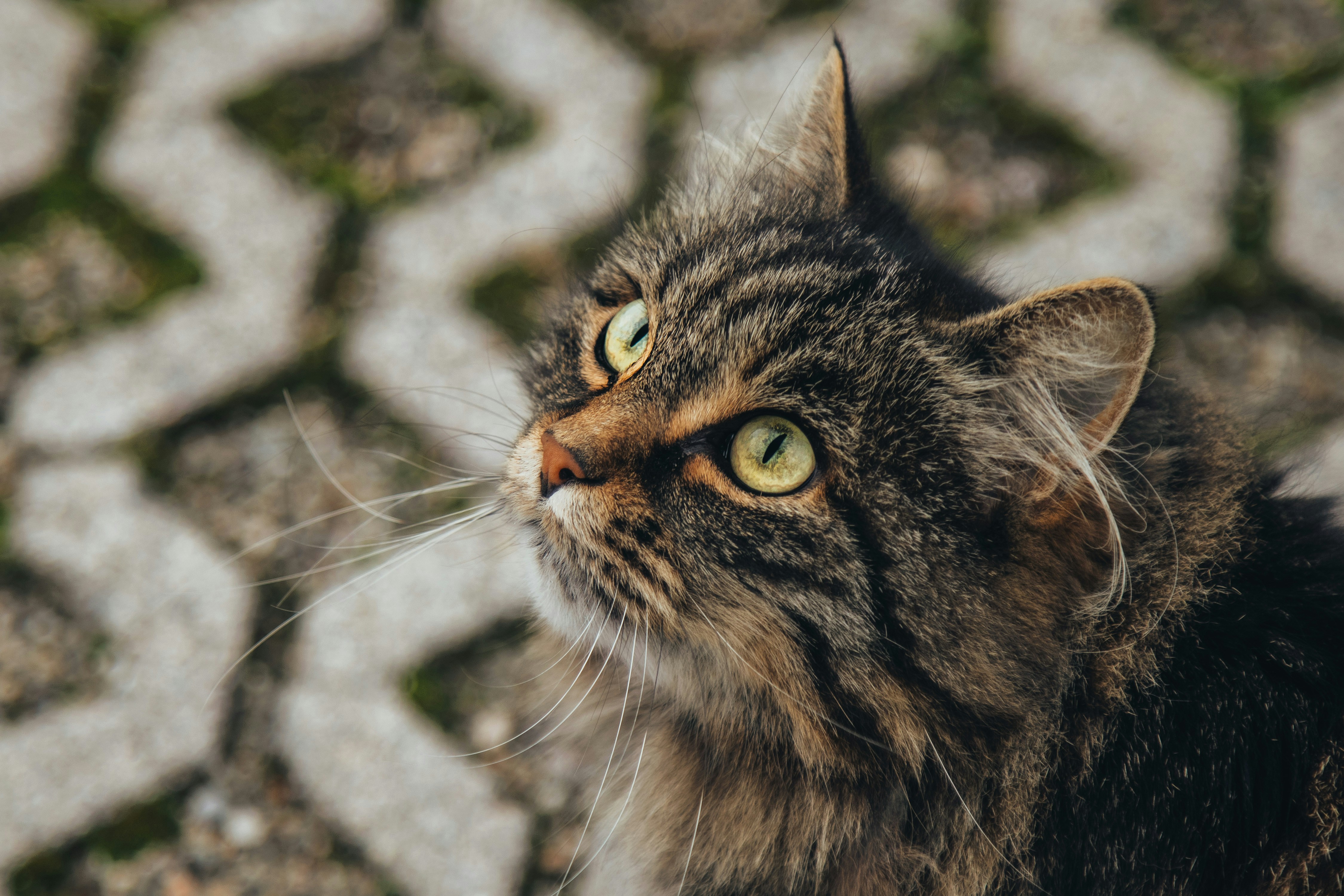 Photo by moritzholzinger