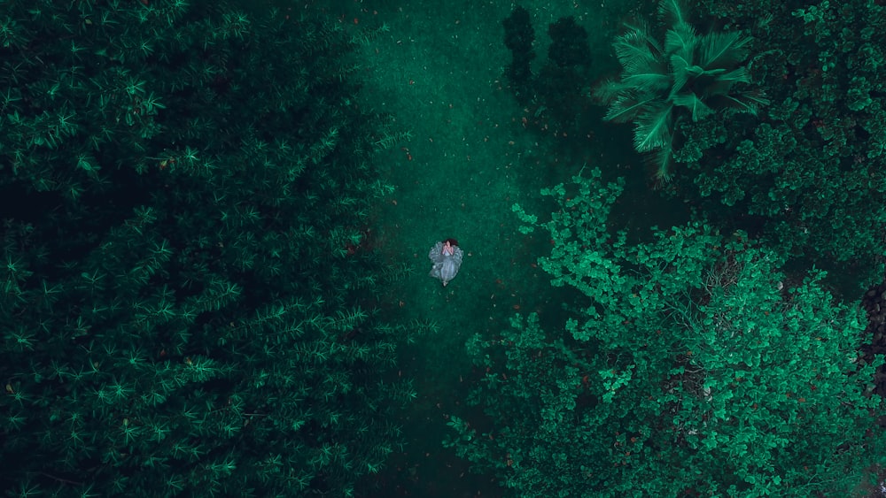 Mujer caminando sobre campo de hierba verde