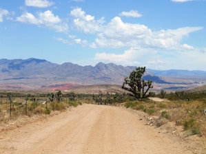 sand pathway scenery