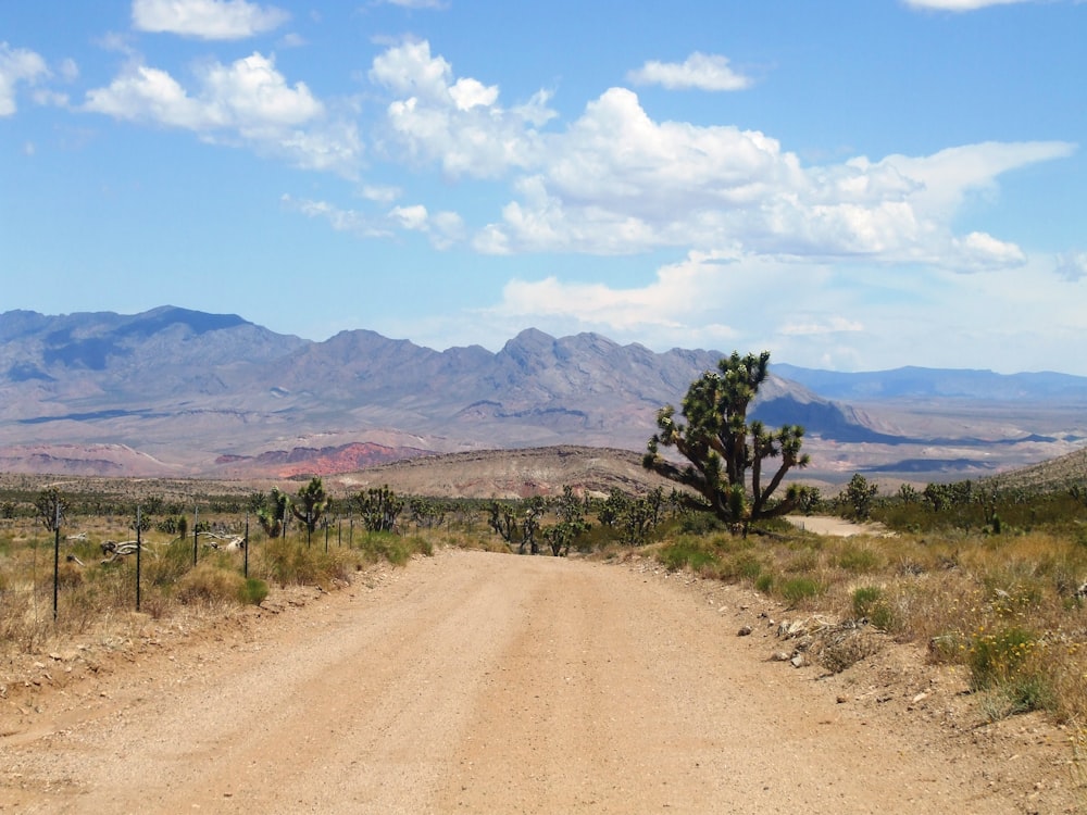 Paisaje de camino de arena