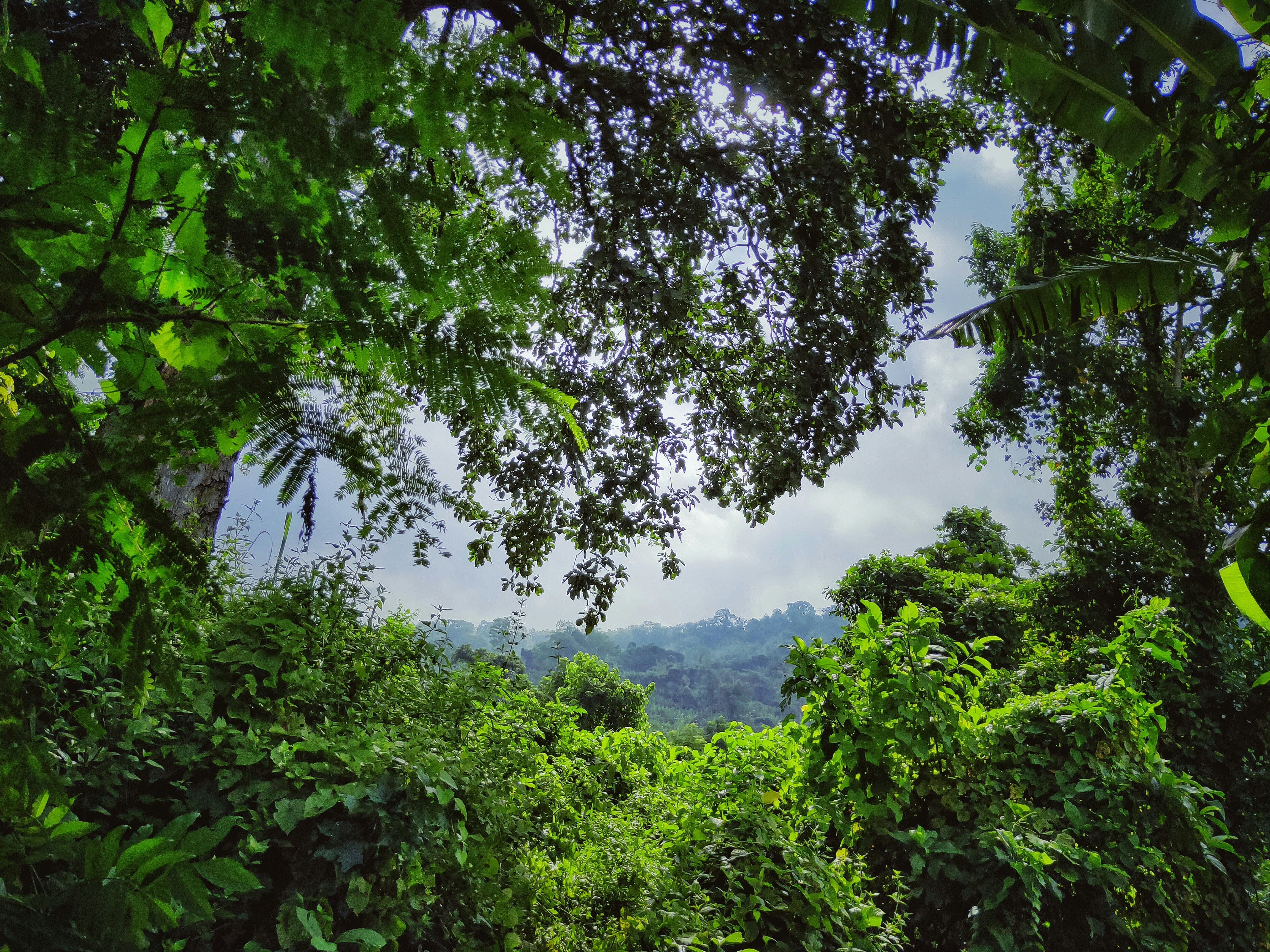 Tripura
