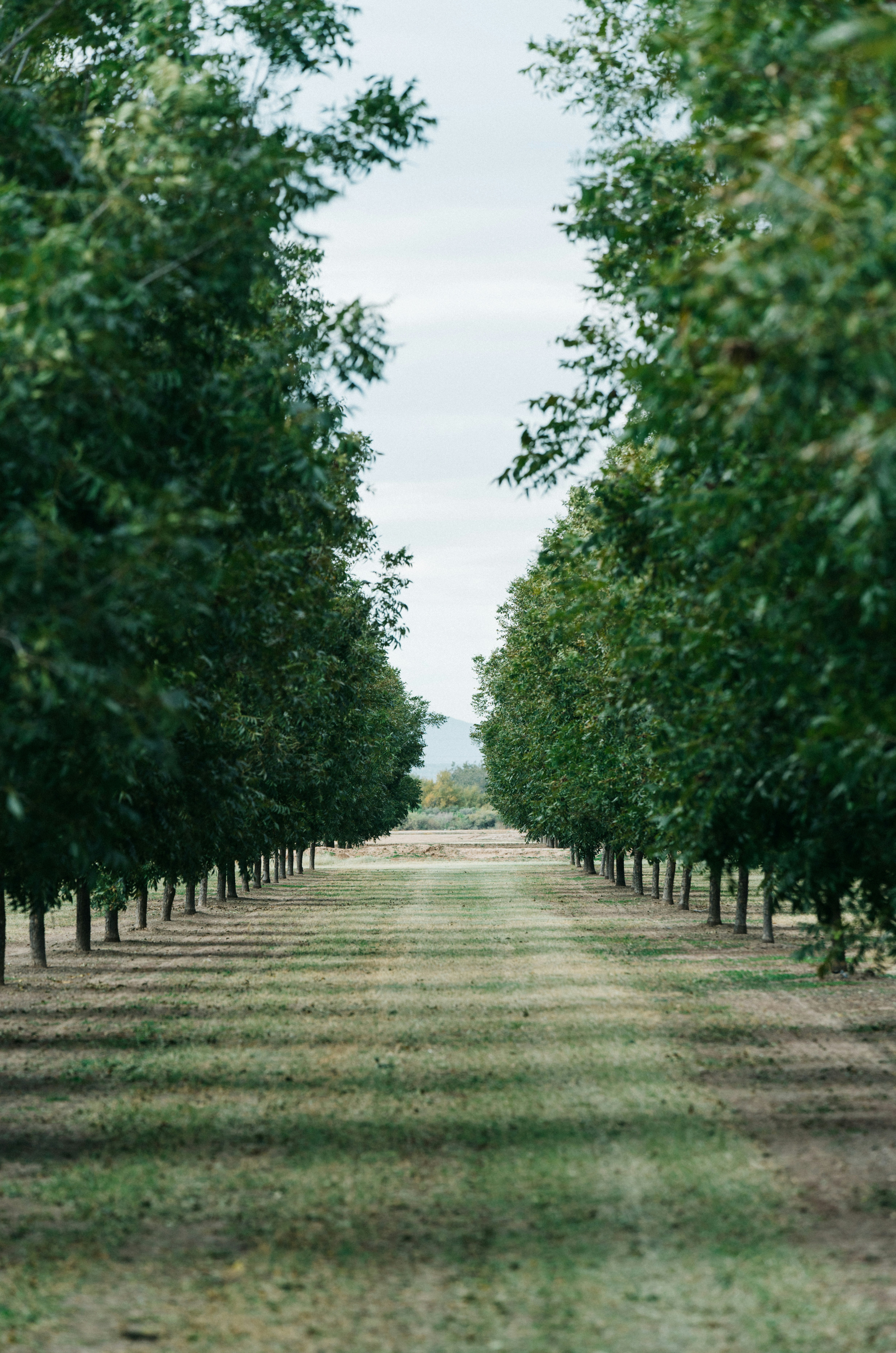 Photo by matthewlejune