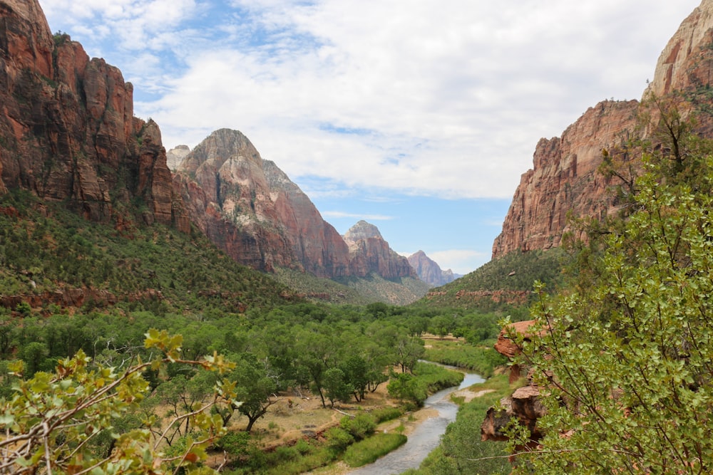 brown and green mountain scenery