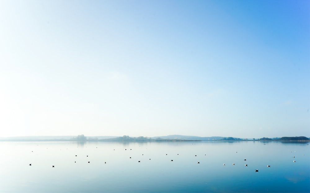 a large body of water surrounded by land