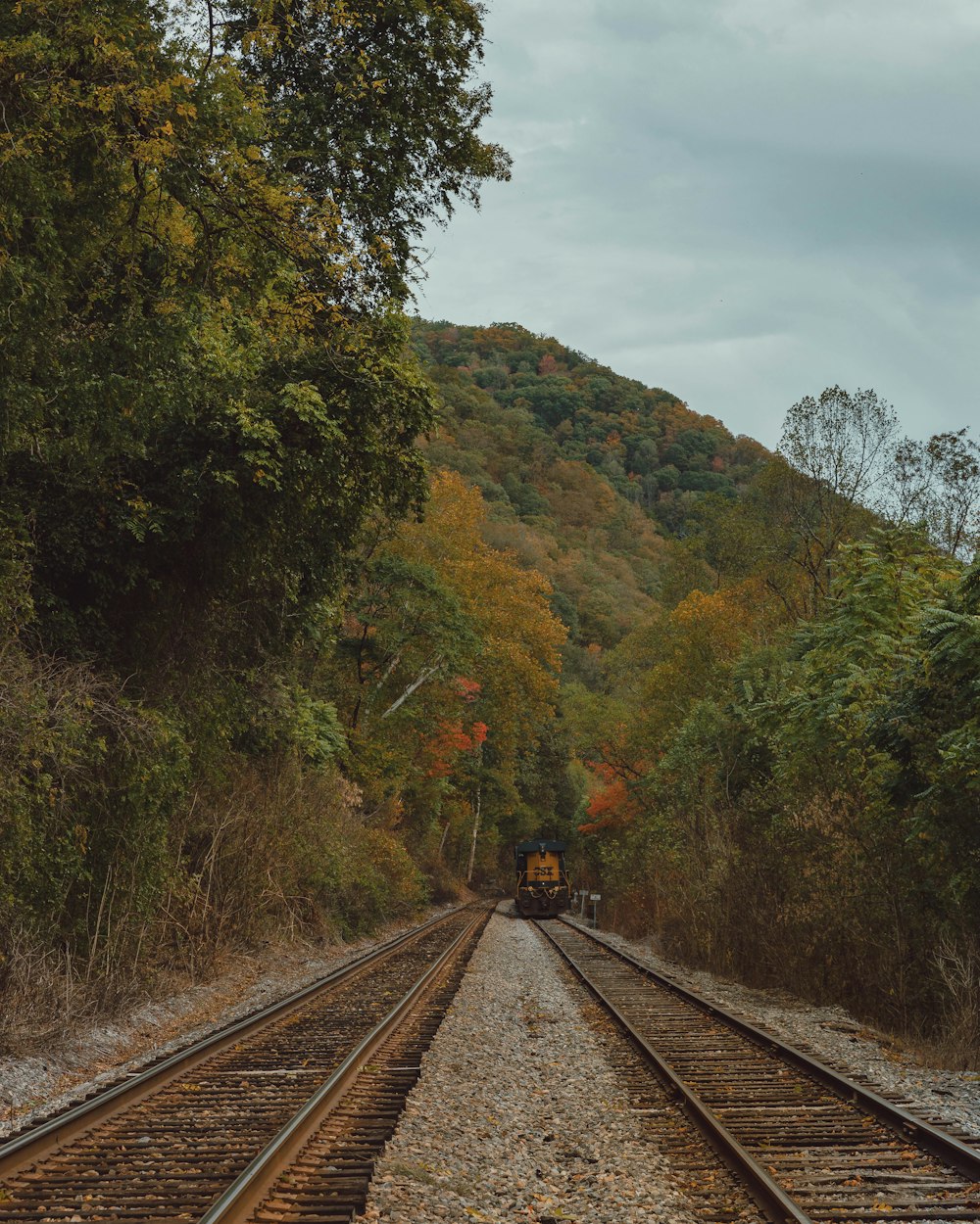 brown train on railing during daytime