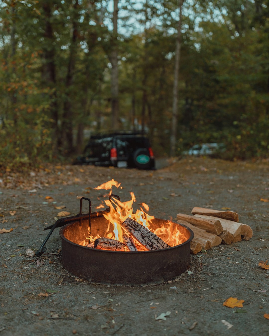 bonfire beside firewood