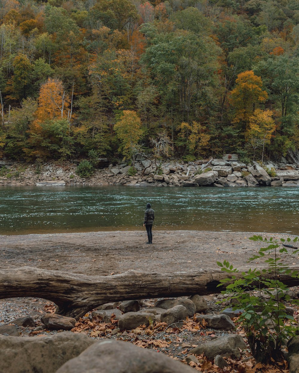person standing near river
