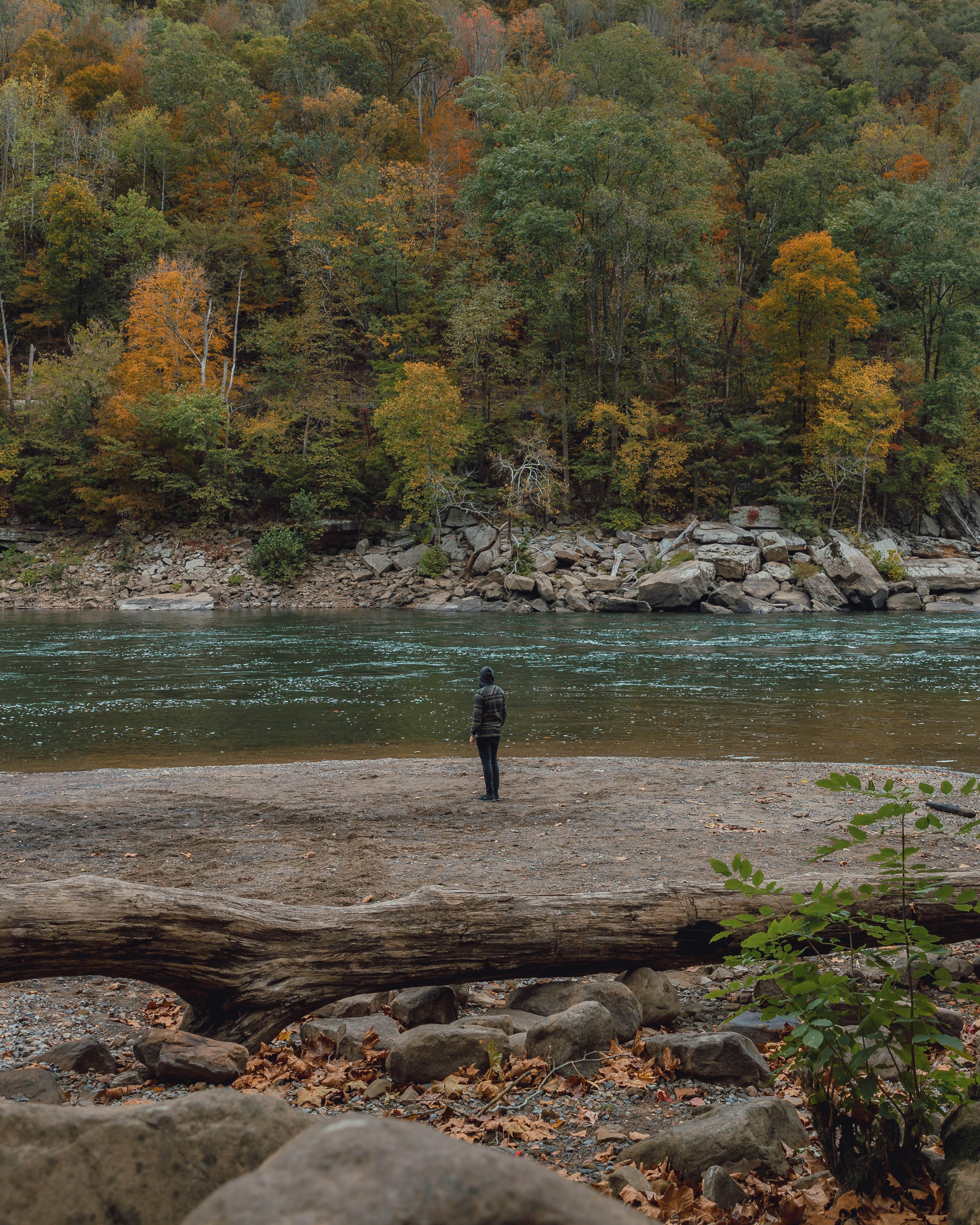 person standing near river