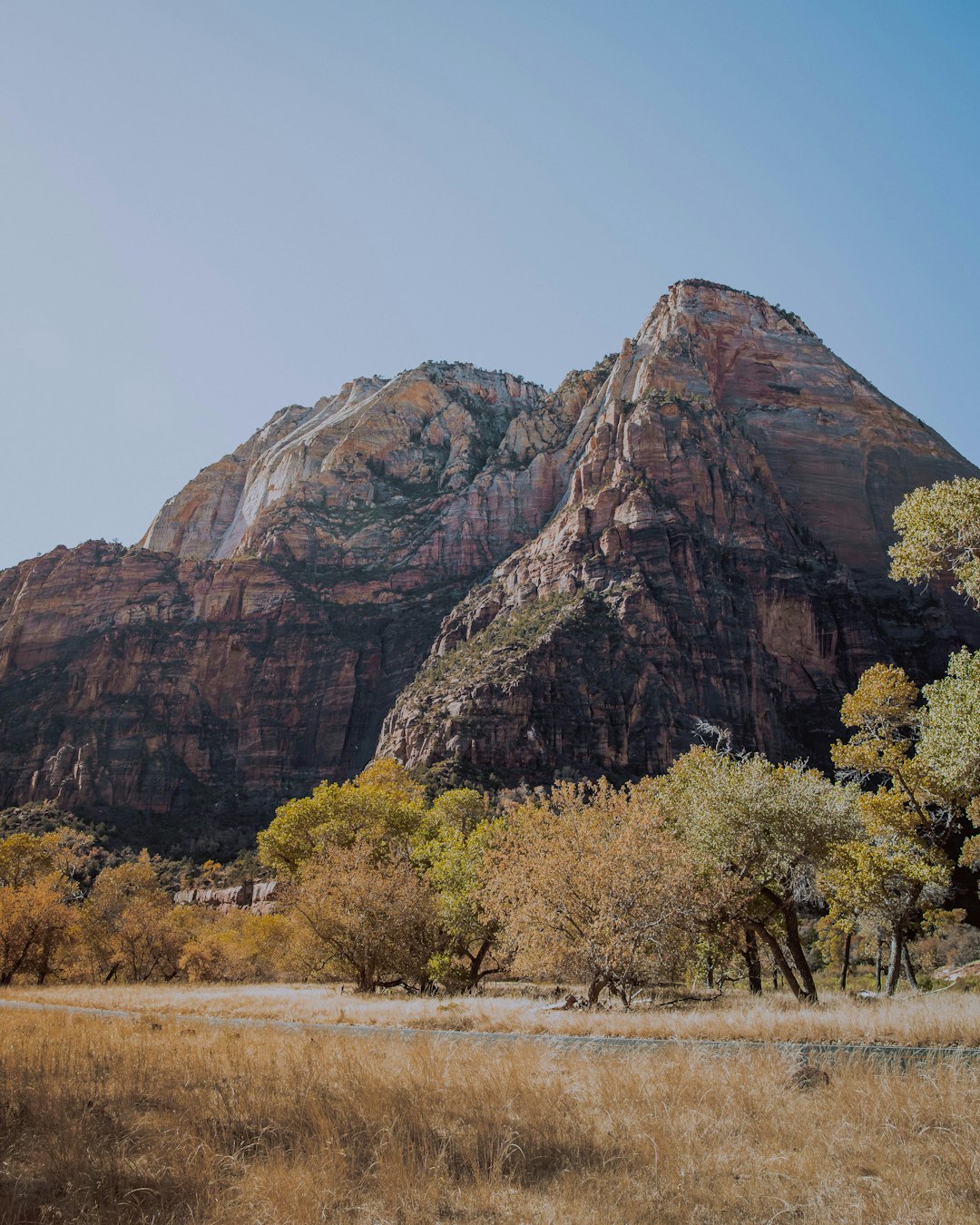 green leafed tree near rock formation