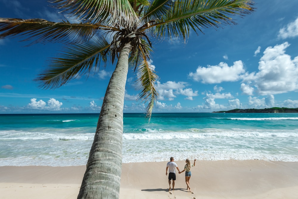 people walking on seashore