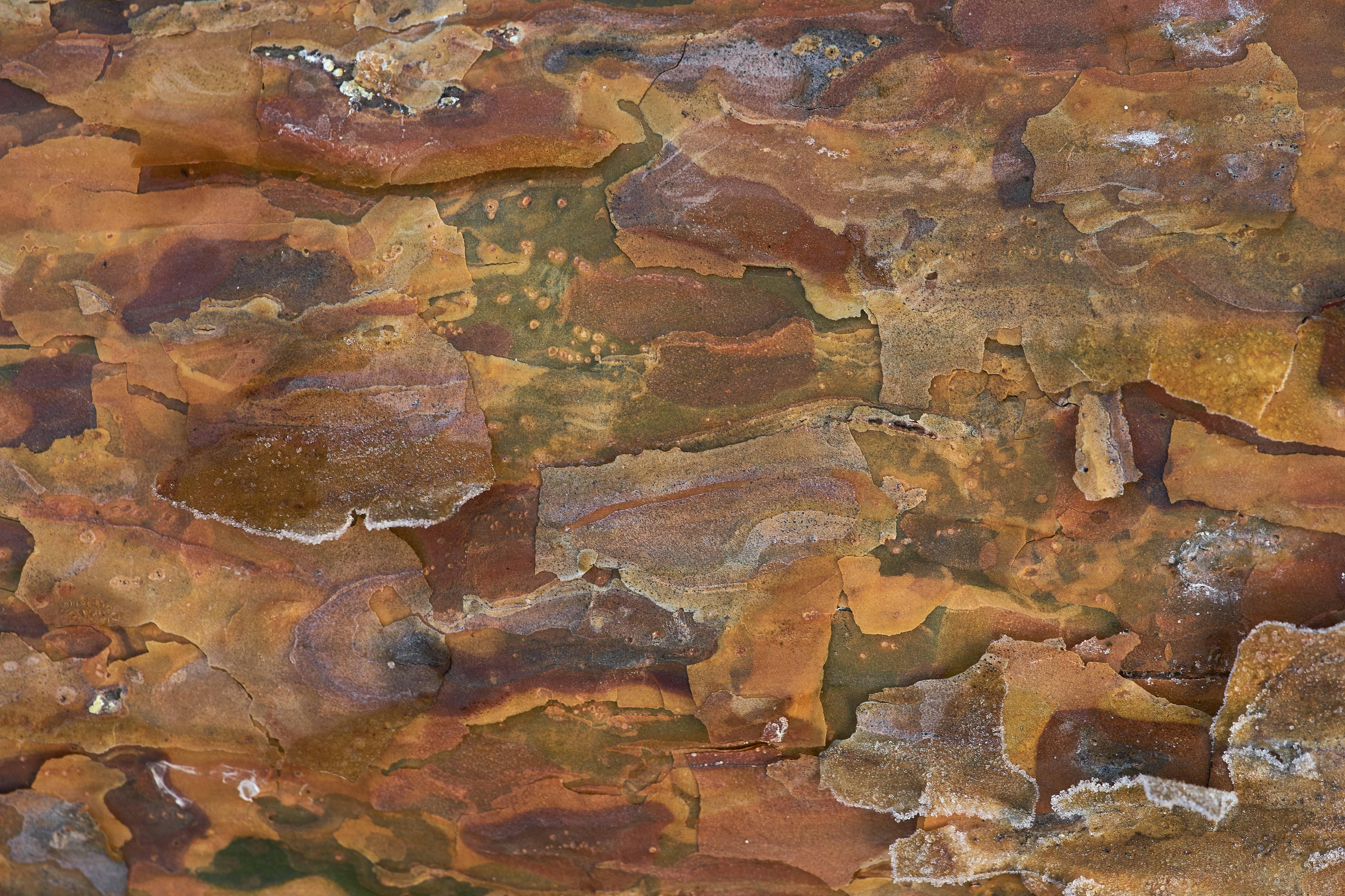 Photo by wolfgang_hasselmann