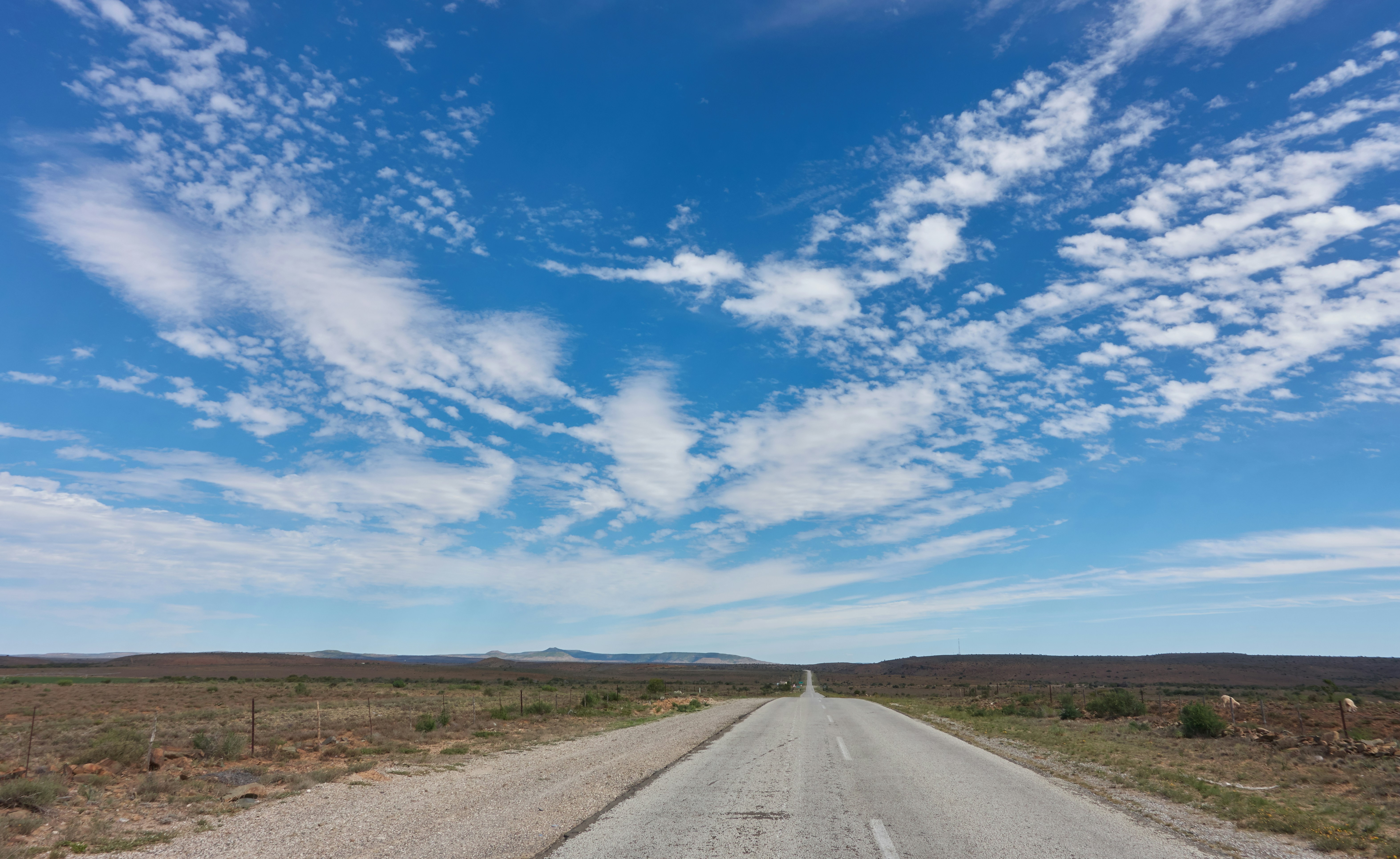 Photo by wolfgang_hasselmann