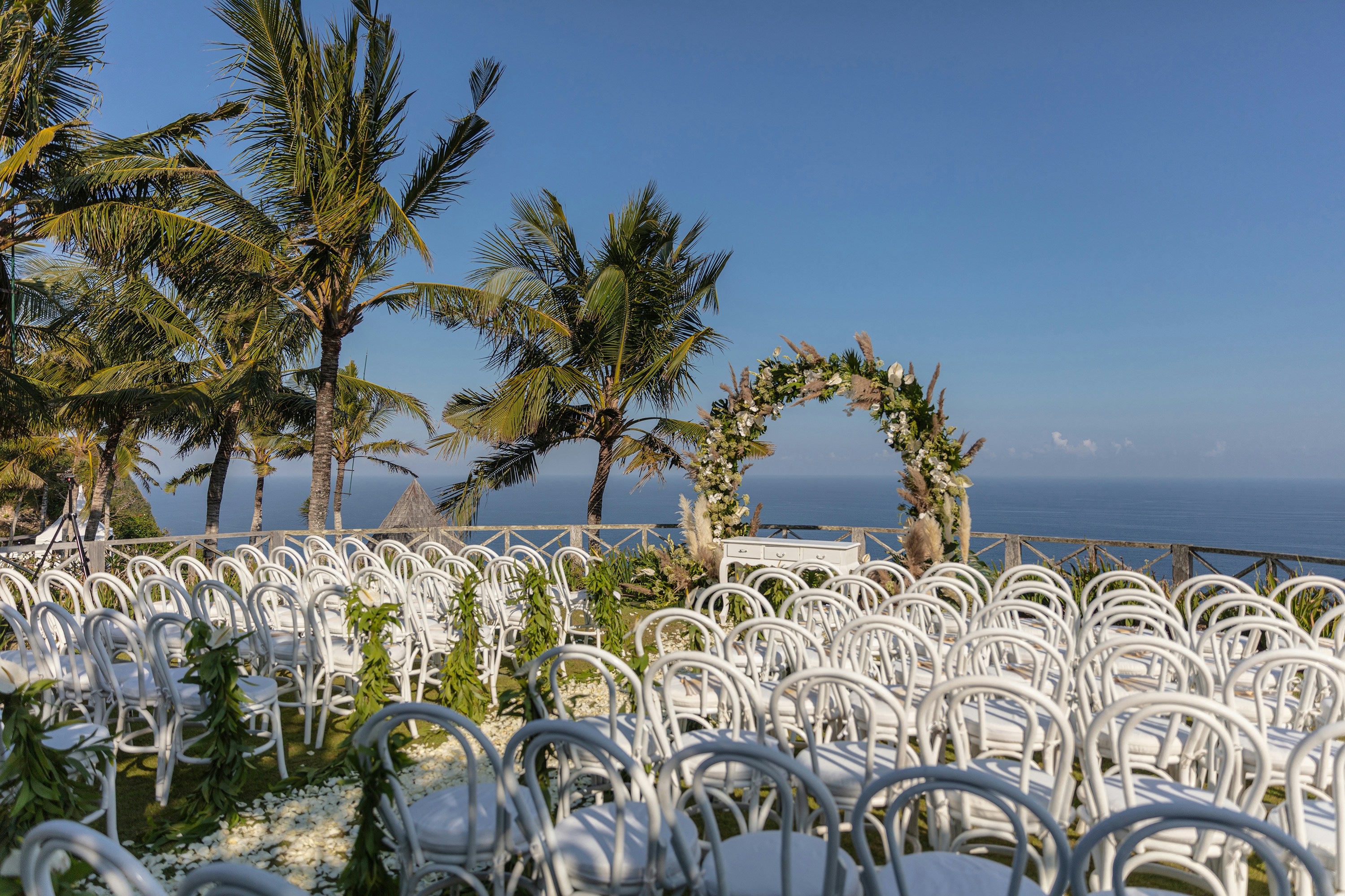 green palm tree and white chairs, 