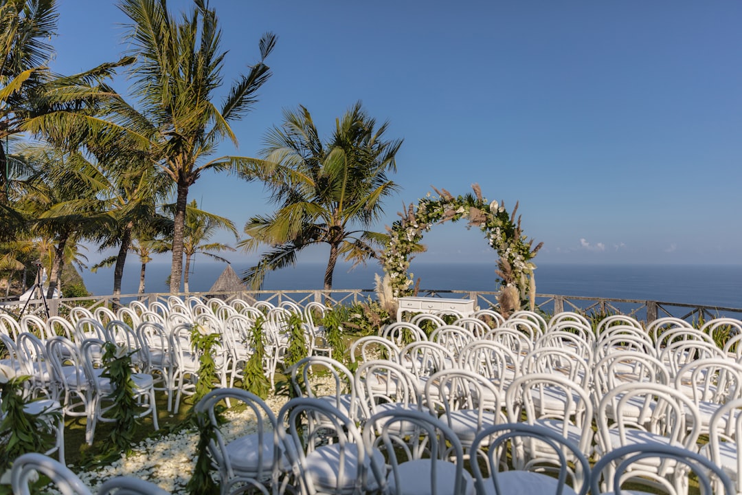 green palm tree and white chairs,