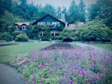 A charming house covered with greenery, surrounded by lush trees and a colorful garden filled with pink and purple flowers in the foreground. The setting seems peaceful and well-maintained, creating a serene and inviting atmosphere.