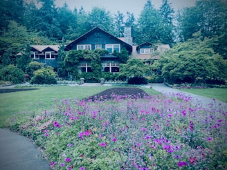 A warm, inviting family home with a welcoming front porch surrounded by lush greenery.
