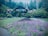 A beautiful Filipino home surrounded by lush greenery and vibrant flowers.