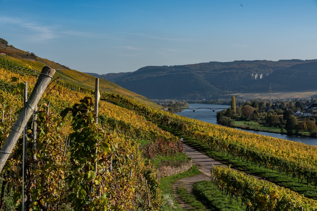 Hill photo spot Schweich Burg Eltz